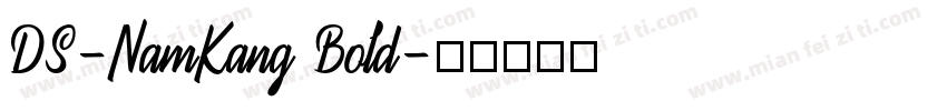DS-NamKang Bold字体转换
